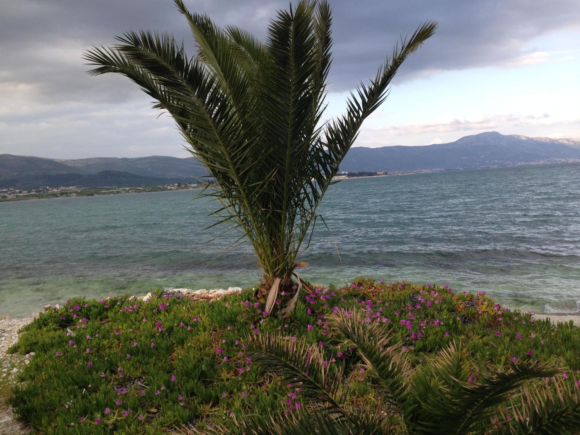 Apartments Exclusive Palace II Trogir Exterior foto